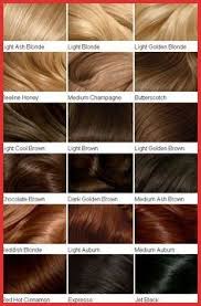 Creme Of Nature Hair Color Chart 133512 Clairol Professional