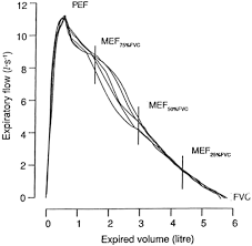 lung volumes and forced ventilatory