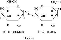 of hydrolysis of lactose