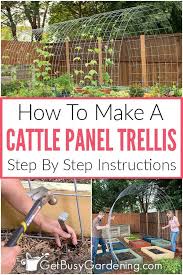 cattle panel trellis diy how to make