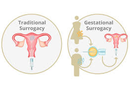 Gestational surrogacy offers those who are unable to carry a pregnancy the ability to have a child. Best Surrogacy Clinic In Noida Ghaziabad Indirapuram Surrogacy Specialists Doctors