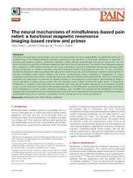 mindfulness based pain relief