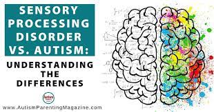 sensory processing disorder vs autism