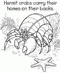 Browse 5th grade coloring pages resources on teachers pay teachers, a marketplace trusted by millions of teachers for original . Coloring Pages For 5th Graders Coloring Home