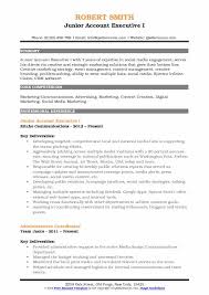 Cv resume format india film resume template beautiful cover letter … ficial resume format india sidemcicek official resume format … 7+ cv format pdf indian style | theorynpractice. Junior Account Executive Resume Samples Qwikresume