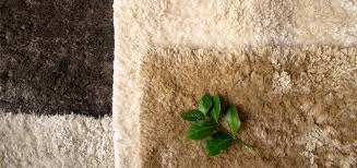 eco friendly rugs sustainable living