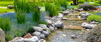 Water Features Can Bring Your Garden