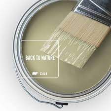 Most popular behr neutral paint colors 2020. Behr 2020 Color Of The Year Back To Nature Colorfully Behr