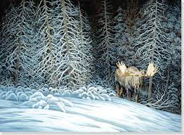 5 out of 5 stars. Moose In Moonlight Deluxe Boxed Holiday Cards Christmas Cards Greeting Cards Peter Pauper Press 9781441315502 Amazon Com Books