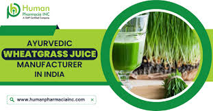 ayurvedic wheatgr juice manufacturer