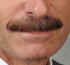 How do you wrangle your moustache without mangling your moustache? Well Trimmed Mustache Moustaches Men Mustache Mustache Men