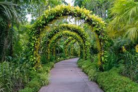 botanical garden malaga delpaso car hire