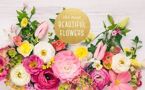 This lesson will teach you how to gauge the amount of wholesale flowers you need. The 20 Most Beautiful Flowers You Ll Ever See Ftd Com
