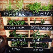 Herb Gardening In Unique Ways