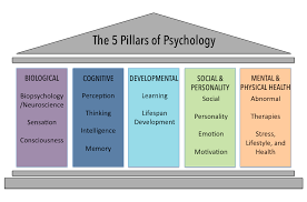 Domains In Psychology Introduction To Psychology