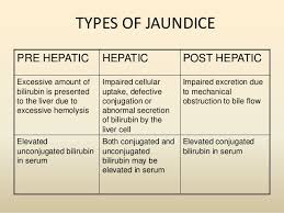 All About Jaundice