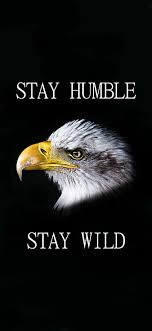 hd stay wild wallpapers peakpx