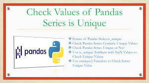 check values of pandas series is unique