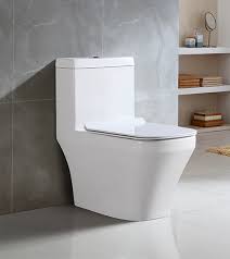 Flush To Wall Toilet Floor Mounted 1