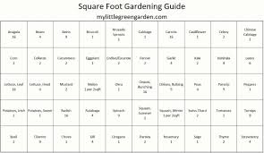 how to plan a square foot garden my