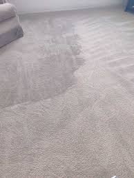 cleaning carpet care in torrance ca