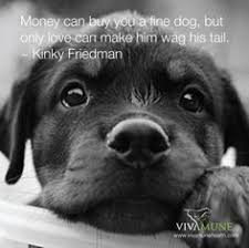 Image result for money can buy you a fine dog