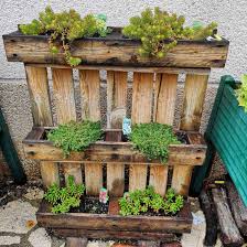 recycled wood pallet garden ideas to diy