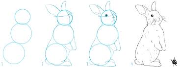 Dessiner un lapin dessins faciles comment dessiner un lapin. Comment Dessiner Un Lapin Crayons Et Pinceaux