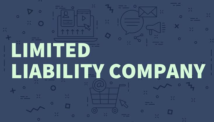 LIMITED LIABILITY COMPANIES