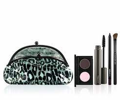 mac cosmetics and liz goldwyn makeup bags