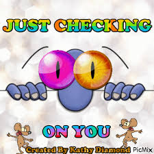 Just Checking On You Picmix