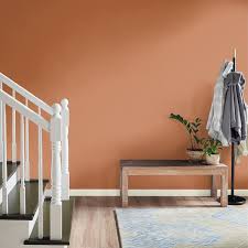 Caramelized Orange Matte Interior Paint