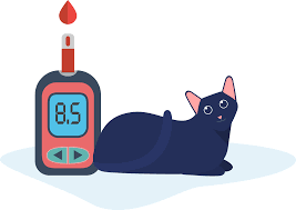 Dka can be fixed if caught quickly. Feline Diabetes Diagnosis Treatment And Remission Demystified We Re All About Cats