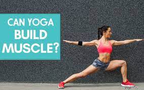 can yoga build muscle the truth