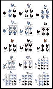 Silkie Breeding Information Chart Choe Chicken Heaven
