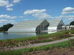 Image result for GREEN HOUSE SHORT NOTE