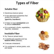 Fiber Can We See The Forest For The Trees Big Picture Vegan