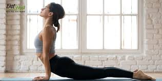 yoga for beginners basic yoga poses