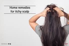 home remes for itchy scalp by dr