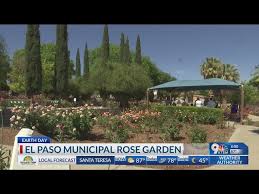 El Paso Municipal Rose Garden