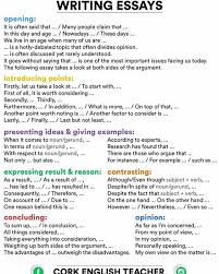 Best Easy Essay   Essay writing Tips and Tricks Pinterest