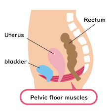 pelvic floor dysfunction