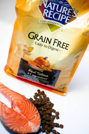 recipe grain free salmon dog food