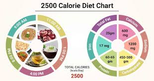 2500 calorie t chart