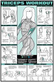 Triceps Workout Fitness Chart Co Ed Modivation And
