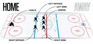 Hockey 101 Breaking Down The Positions Sportsnet Ca