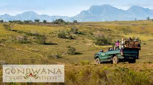 Gondwana Game Reserve Garden Route