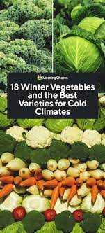 18 winter vegetables and the best