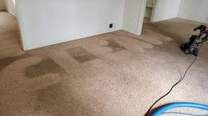 carpet cleaning with silver olas