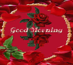 red rose good morning gif pictures